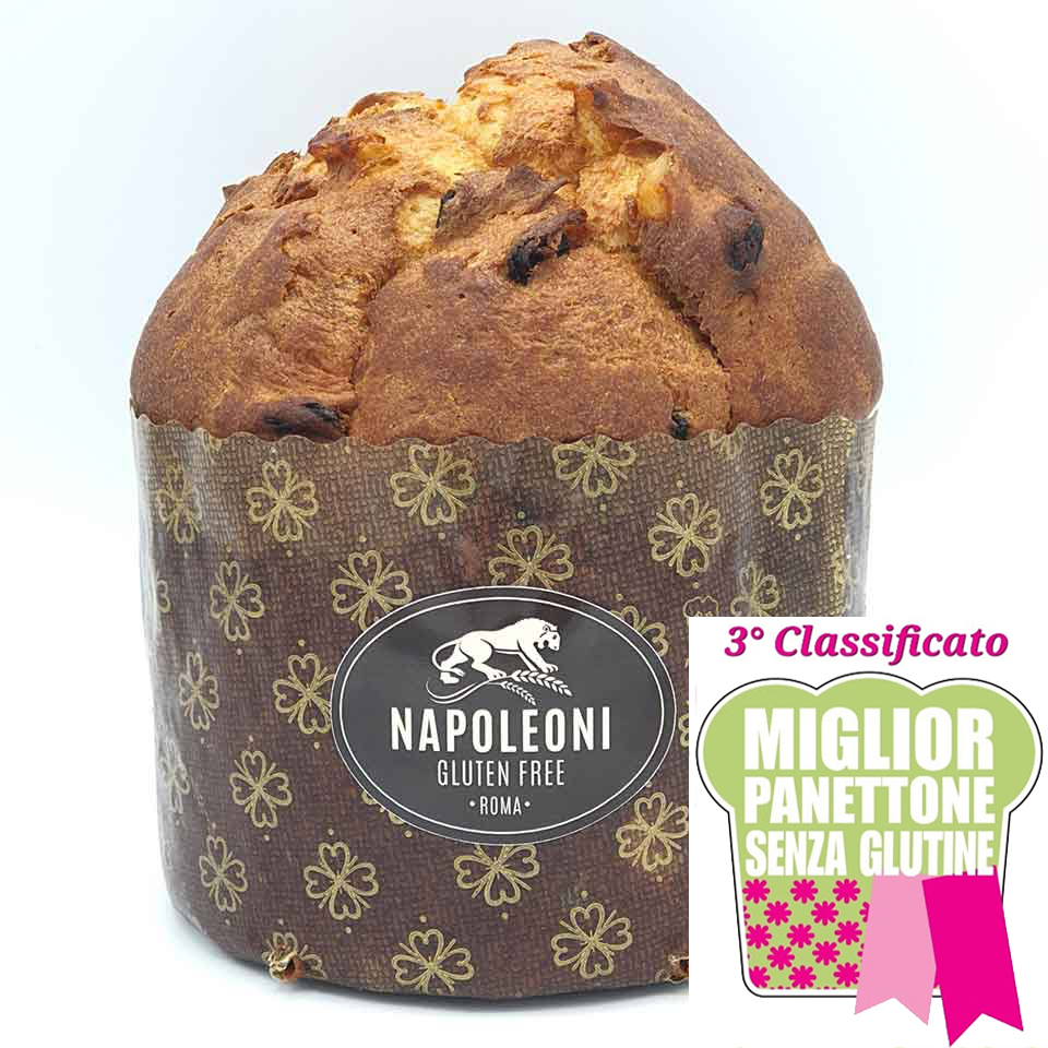 Panettone Classic 400gr - Gluten Free - ARRIVO DOPO NATALE